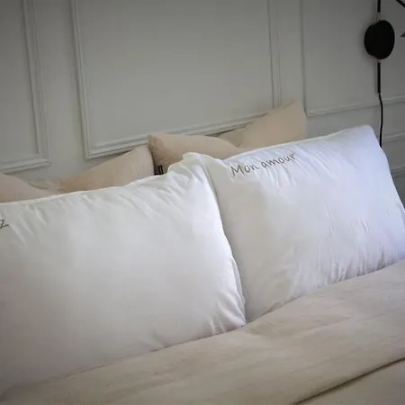 아파트 Mon Amour, Un Sejour A 200m De La Cathedrale ! Classe 3 Etoiles ! 메스