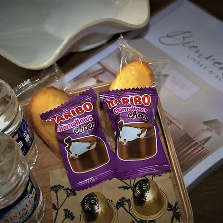 Mon Amour, Un Sejour A 200m De La Cathedrale ! Classe 3 Etoiles ! * 메스